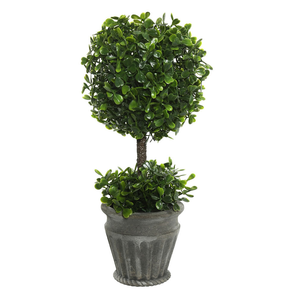 Ophelia & Co. Artificial Boxwood Topiary in Urn & Reviews Wayfair.ca